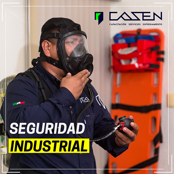 Cursos